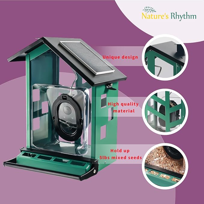 Bird Feeder Squirrel-Proof Bird Feeder with Camera Watch the Birds Feed
