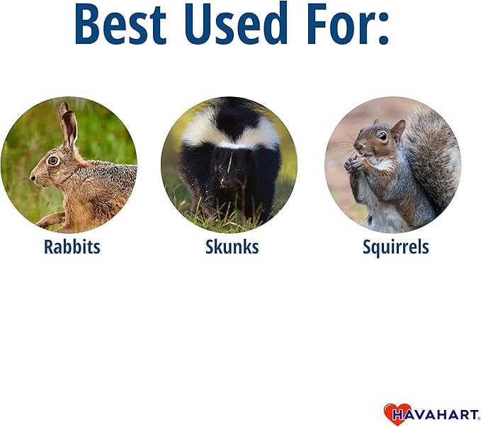 Havahart Easy-Set Catch and Release Small 1-Door Humane Live Animal Trap for Squirrels, Rabbits, Skunks, and Other Small Animals - 1083