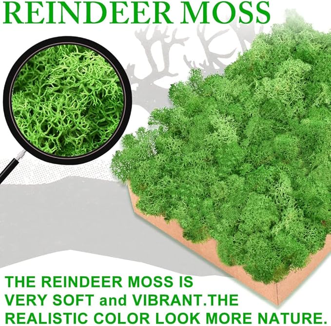 Preserved Reindeer Moss 17.6 OZ Blue Natural for Crafts, DIY Gift Christmas Decor, Wall Art, Potted Plants, Floral Fake Moss for Easter Table Decor Wedding Decorative(1.1 LB, Blue)