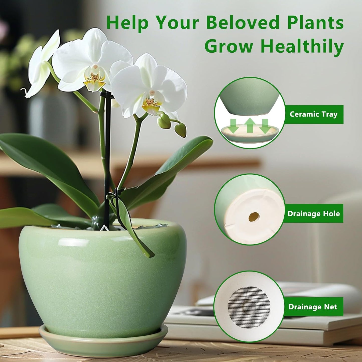 6 Inch Plant Pot - Ceramic Planter for Indoor Plants Round Planter Outdoor Plant Pot with Drainage Hole and Saucer Modern Flower Pot for Succulent Garden Green