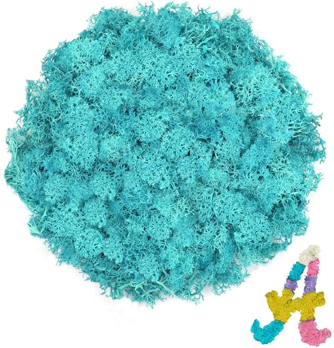 3.5 OZ Blue Reindeer Moss, Preserved Moss for Plants, Moss Decor, Green Moss for Crafts, Moss for Potted Plants, Craft Decorative Moss Decor, Dried Moss