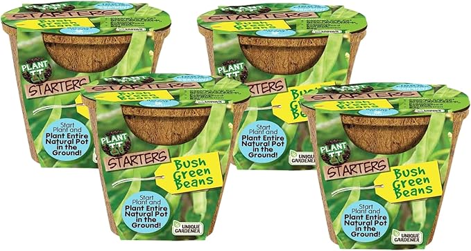 Unique Gardener Plant-It Starters Plant Seeds 4-Pack, DIY Indoor Succulents and Live Plants for Home or Garden Planting, Green Bush Beans