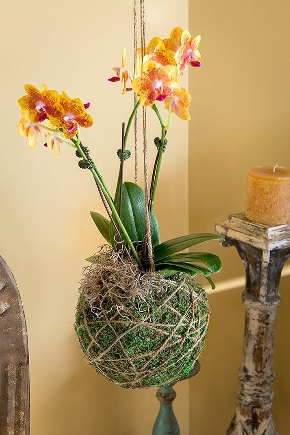 SuperMoss Super Moss 759834904304 Planter Plant Hanger Basket Liner, The Original