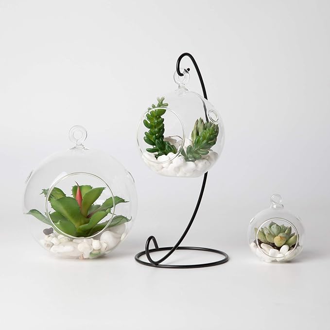 WGV Hanging Terrarium Globe, Width 3", Height 4", DIY Air Succulent Planter, Clear Glass Vase Orb with Flat Bottom, Candle Holder for Windowsill Outdoor Garden Decor, 12 Pieces Bulk
