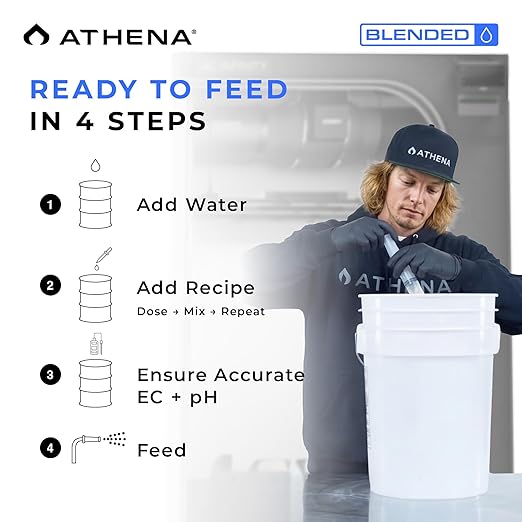 Athena Blended Balance | Liquid pH Buffer & Stabilizer for RO Water | Formula for Hydroponics | Sediment-Free, Dosatron Compatible | 1 Gallon
