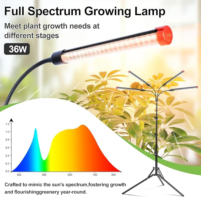 FRGROW 4Head Grow Light with Stand for Tall Indoor Plants, Bonsai Tree, Bright Full Spectrum Plant Growing Lamps, 4/8/12/16/20H Timer, 36 Watt Power Draw, NO Need Adapter, 360° Gooseneck