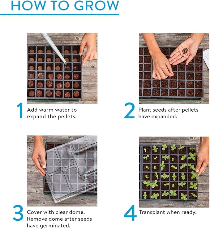 Burpee 72 Cell Self-Watering Growing System & SuperSeed Seed Starting Tray, 36 Cell Reusable, Black, Green, Indoor/Outdoor, Self-Watering, 1.5" Size