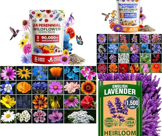 HOME GROWN 𝗨𝗦𝗔 𝗣𝗥𝗘𝗠𝗜𝗨𝗠 90,000+ Wildflower Seeds & Wildflower 134,000 & English Lavender Seeds 1,500