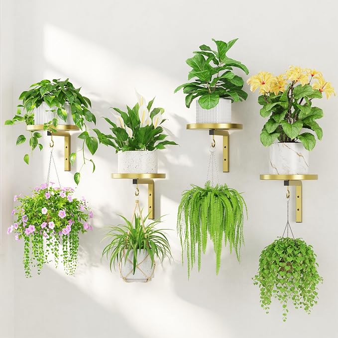 LASZOLA 4Pcs Wall Mount Plant Shelves with Hangers for Indoor Planters, Heavy Duty Metal Window Floating Flower Holders Stand for Kitchen Bathroom, Classic Gold