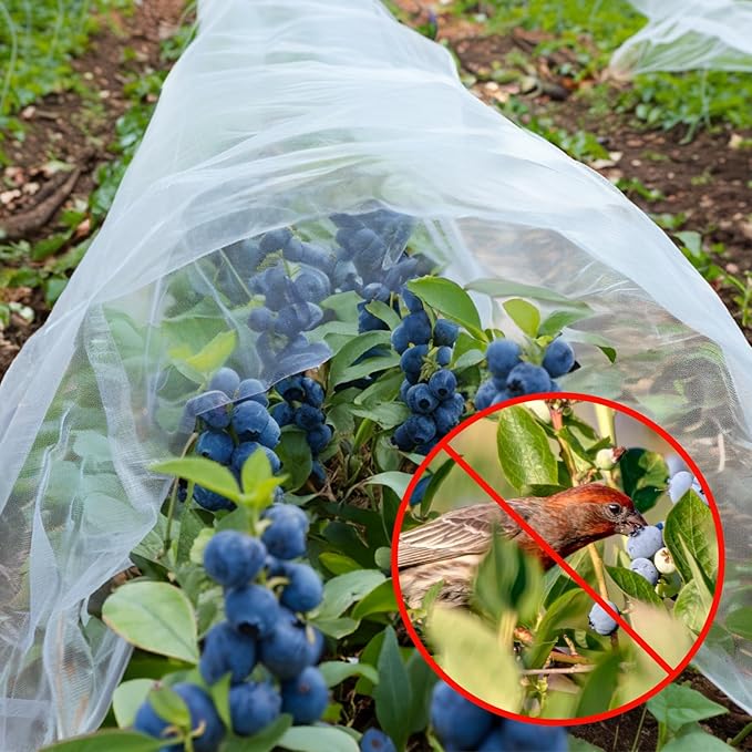 GonLei Garden Netting 10 X 25 FT Ultra Fine Netting for Garden Protection,Garden Netting for Raised Beds,Mosquito Net for Blueberry Shrubs Vegetables Fruits Flowers Crops Pest Barrier