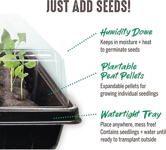 Jiffy Seed Starting Tray Kit - 36 Cell Plant Starter Trays, Portable - 11 x 11 x 4.25 in - Plastic - 4 Pack