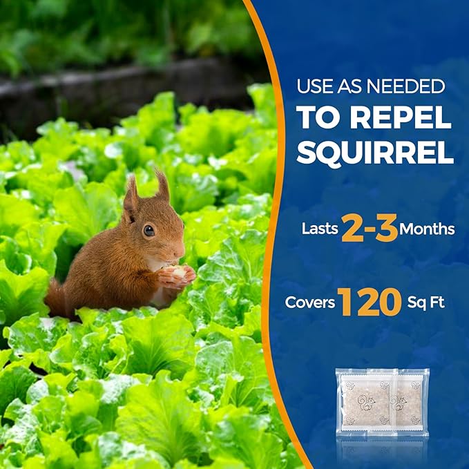 Squirrel Repellent 12 Packs, Keep Squirrels Out of Flower Pots Farmland, Natural Squirrel Deterrent for Bird Feeders, Chipmunk Repellent for Garden Patio, Repel Squirrels from Attic Car Indoor