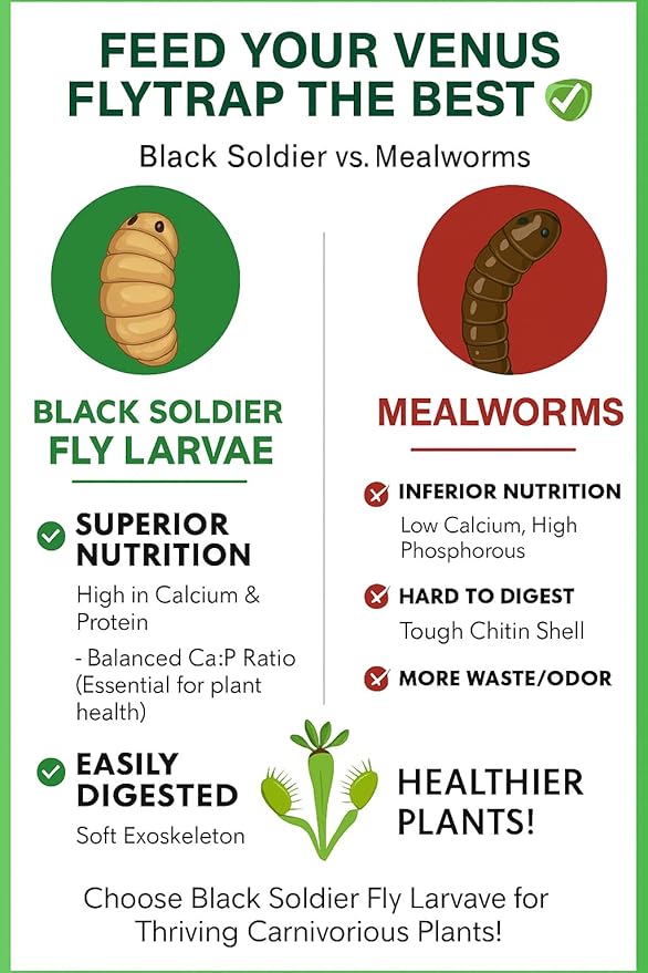 Venus Fly Trap Live Plant Food Bundle – Carnivorous Plant Food with Feeding Tweezers – 2 Resealable 0.35oz Bags of Black Soldier Fly Larvae – Nutrition for Venus Flytraps, Pitcher Plants, and Sundews