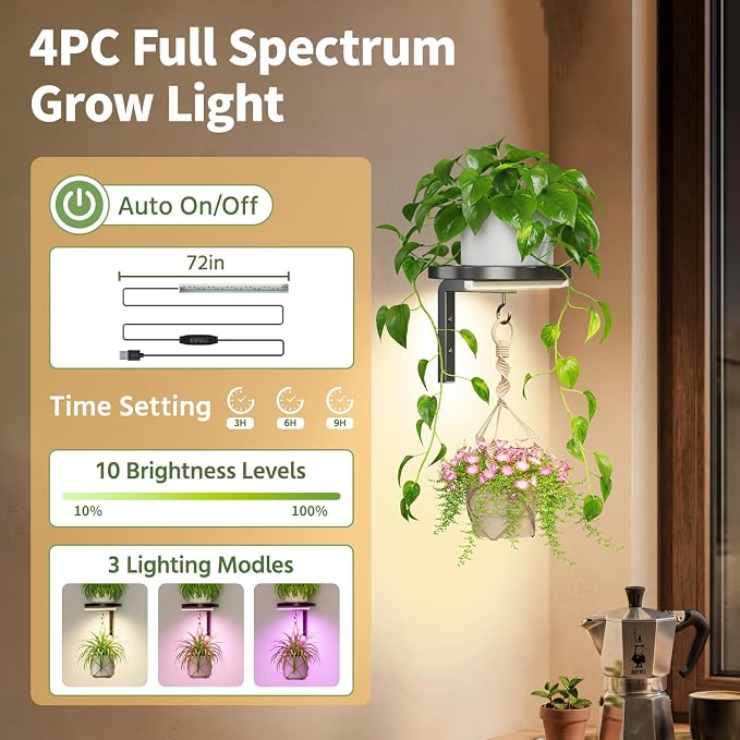 LASZOLA Plant Hangers Shelves Wall Mounted Indoor with Grow Lights, Metal Window Plant Holders, 4Pcs Modern Floating Flower Display Stand with 4 Hooks for Outdoor Kitchen Bathroom Decor, Black
