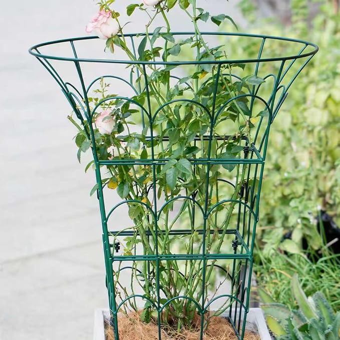 27.5“ Peony Supports for Outdoor Plants -Durable Metal Cages for Peonies, Dahlias & Hydrangeas - Sturdy Garden Stakes, Easy Assembly, Weather Resistant - Decorative Gift for Garden Enthusiasts