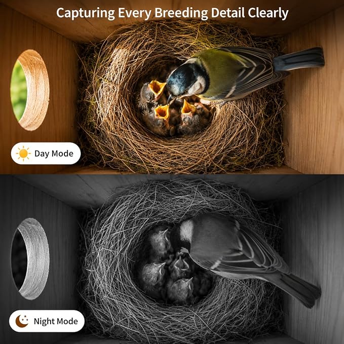 Smart Bird House with Camera - Solar Powered AI Bird Feeder with 4MP Color Night Vision, AI Species Recognition & IP66 Waterproof, Ideal Gift for Bird Lovers