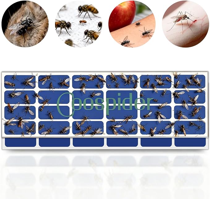 10 Refills UV Fly Light Trap Indoor for Home Gnat Traps for House, Wall Sconce Fly Light Bug Catcher for Kitchen House & Restaurant Fruit Flies Garage & Warehouse