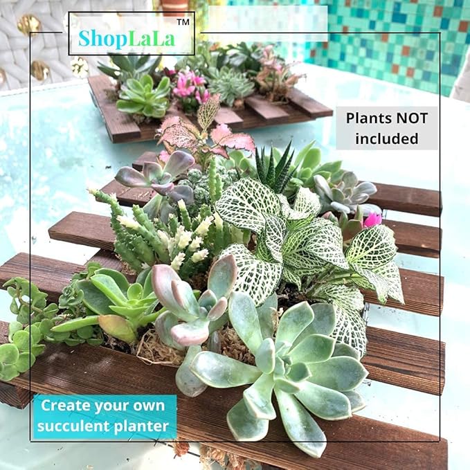 ShopLaLa Bundle- 2 Pack, 11.4 Inch Wooden Plant Holder + 10 Pack, 4 Inch Self Watering Plastic Pot Hanging Vertical Wall Mount Hydroponic Garden Indoor Frame Display Live Air Plants Orchids Decoration