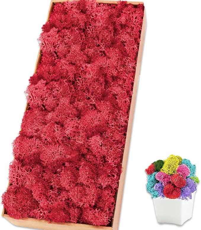 Preserved Reindeer Moss 17.6 OZ Red Natural for Crafts, DIY Gift Christmas Decor, Wall Art, Potted Plants, Floral Fake Moss for Easter Table Decor Wedding Decorative(1.1 LB, Red)