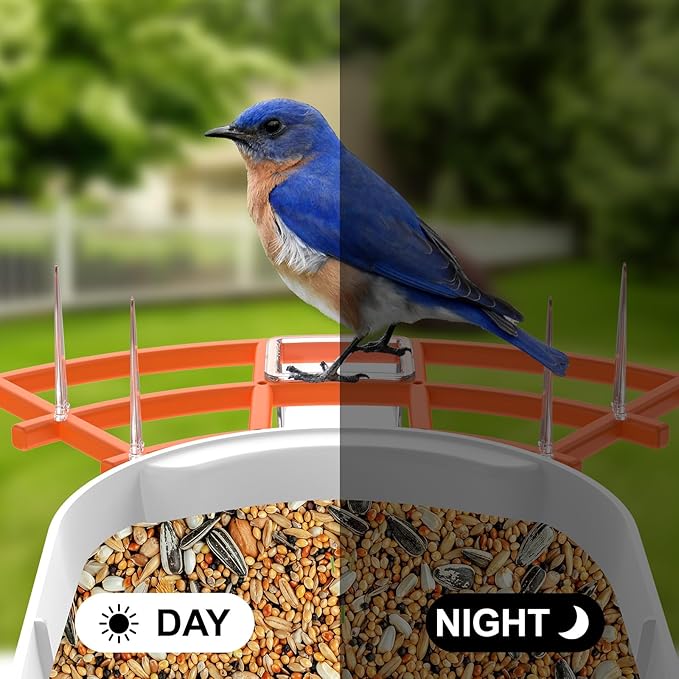 Bird Feeder with Camera,Smart Bird Feeder Camera with Solar Powered,AI Identify Species,Birds Watching,Auto Record FHD 2K Feathered Visitor Video in Backyard,Ideal Gifts for Birds Lovers