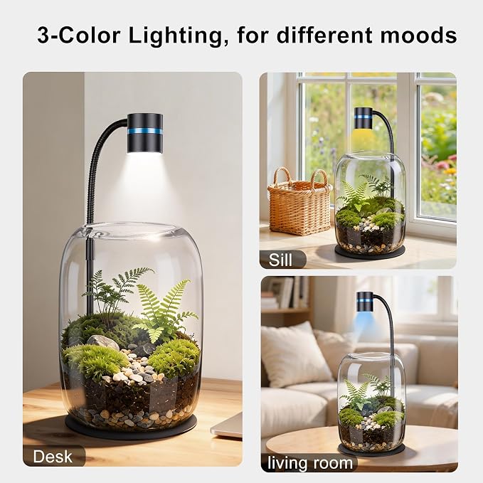 Glass Plant Terrarium with LED Grow Light, Grow Light for Terrarium, Small Desktop Indoor Planter for Venus Fly Trap, Moss & Succulents, Borosilicate Decor Jar for Plant Lovers
