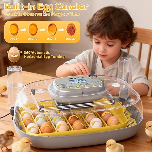 IBKINXX Incubator for Hatching Eggs-24 Egg Capacity, Automatic Egg Turner, Temperature & Humidity Control, 360° Viewing for Chicken, Duck and Quail Eggs