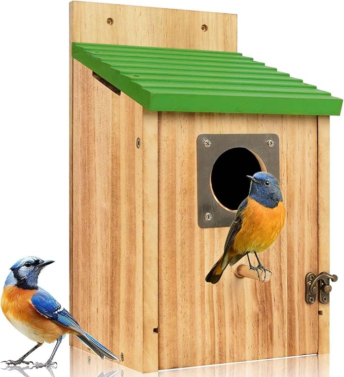 Bird Houses for Outside - Cedar Bluebird Houses with Metal Predator Guard, Birdhouse for Wren Bluebirds Finches Swallows, Carbonized Wooden Birdhouse