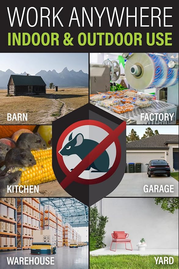Mouse Traps Indoor Small Size (6 Pack) Catch Mice, and Voles Fast with These Simple to Bait, Safe to Set, Non Electric Rodent Trap for Home, Yard, and Barn (Six Mouse Traps)