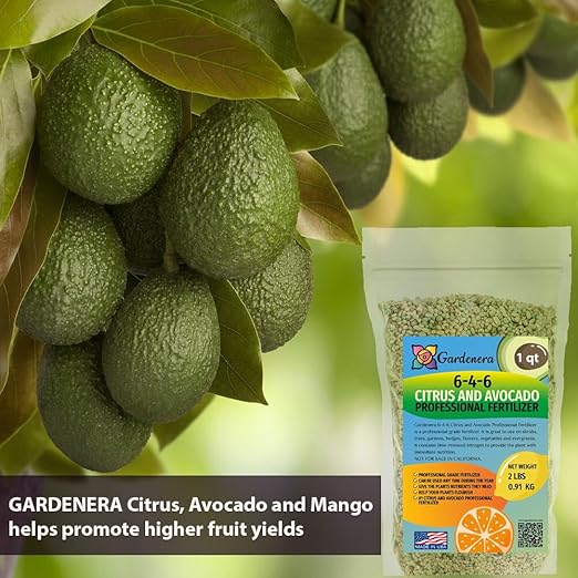 𝐁𝐄𝐒𝐓𝐒𝐄𝐋𝐋𝐄𝐑 6-4-6 Avocado Citrus Tree Plant Food for Outdoor/Indoor Gardening | Quick-Release Nitrogen Fertilizer | Orange, Lime, Avocado and Lemon Tree Fertilizer (10 Quarts)