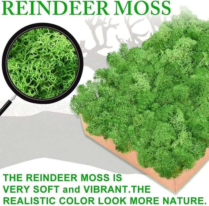 Preserved Reindeer Moss 17.6 OZ Green Natural for Crafts, DIY Gift Christmas Decor, Wall Art, Potted Plants, Floral Fake Moss for Easter Table Decor Wedding Decorative(1.1 LB, Green)