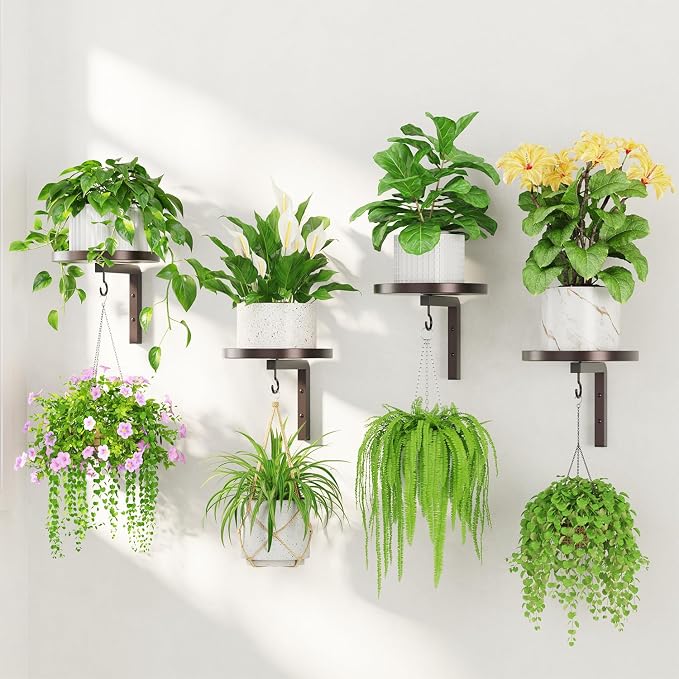 LASZOLA 4Pcs Wall Mount Plant Shelves with Hangers for Indoor Planters, Heavy Duty Metal Window Floating Flower Holders Stand for Kitchen Bathroom, Rustic Bronze