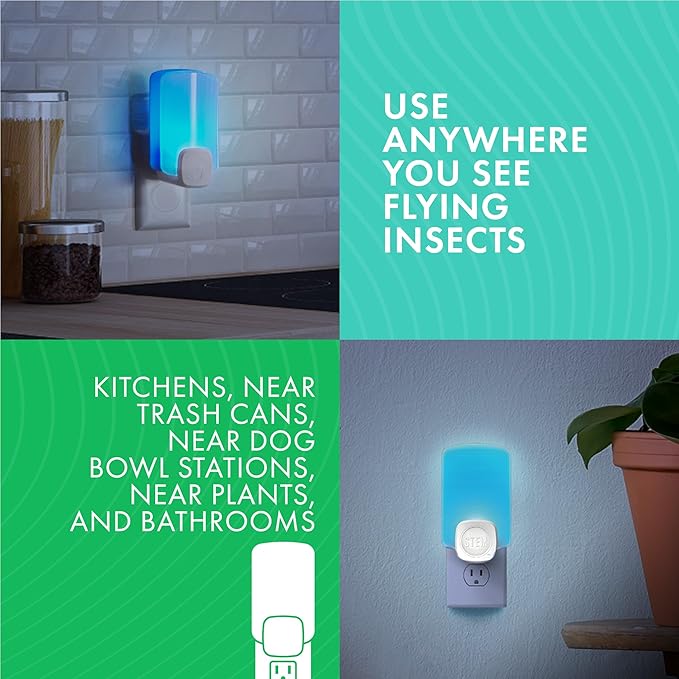 STEM Flying Insect Light Trap Refill Cartridges, Indoor Fruit Fly, Insecticide-Free Pest Control for Home, Attracts and Traps Insects, Official STEM Refills - 4 Count (Pack of 2)