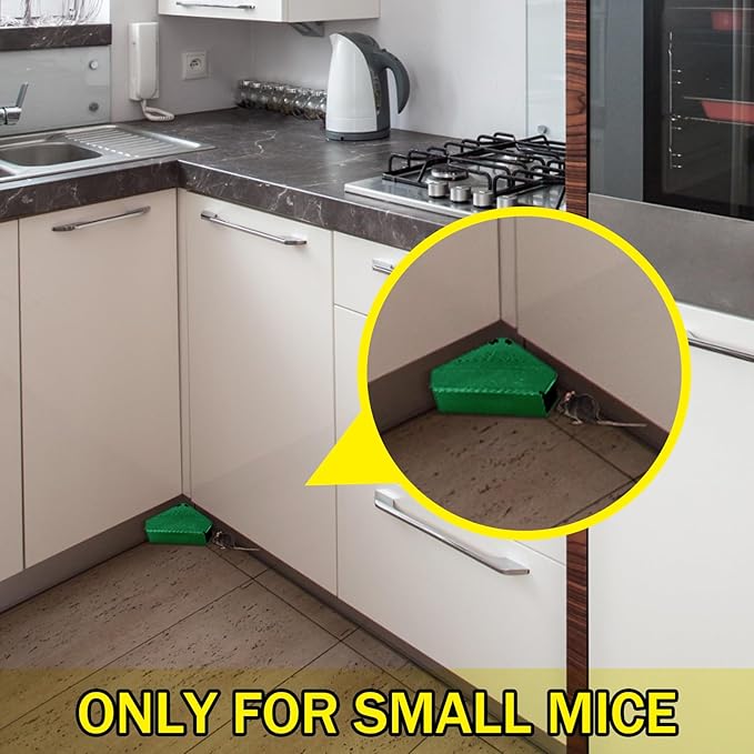 Qualirey 24 Pcs Mice Station with Key Triangle Mouse Station Lockable Reusable Bait Box, Enclosed Design for Indoor and Outdoor Use, Suitable for Small Mice (Green)