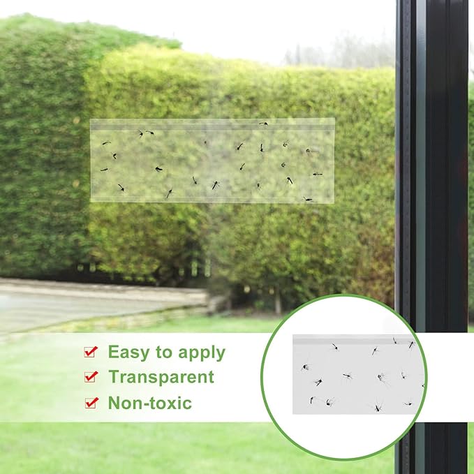 LFSYS 100 Pack Window Fly Trap, Fruit Fly Traps for Indoors, Fly Paper Sticky Strips, Fly Traps for Indoors Bug Catcher Clear