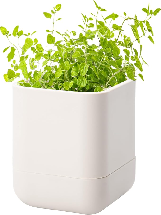 Phoenix Vine 3.5 Inch Wall Mounted Self-Watering Planter Pot for Indoor Houseplants and Herbs | Hanging Planter for Window Sills, Bathroom Walls, Home & Office Décor, Oatmeal, Set of 1, 01-A-G-1