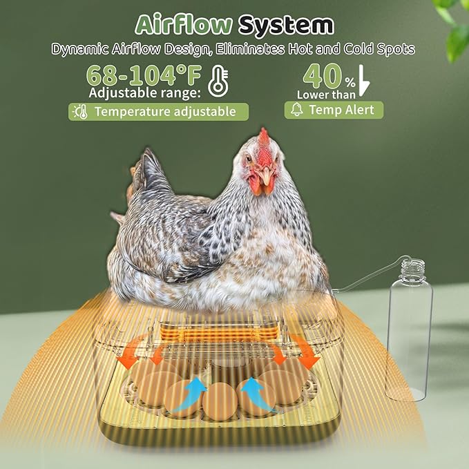 Incubators for Hatching Eggs 12 Egg Digital Egg Incubator Precision Auto Temp Humidity Control 6 Gear Adjustable Auto Turner Auto Stop Turning Hatching Days Display for Chicken Duck Goose Eggs (Green)