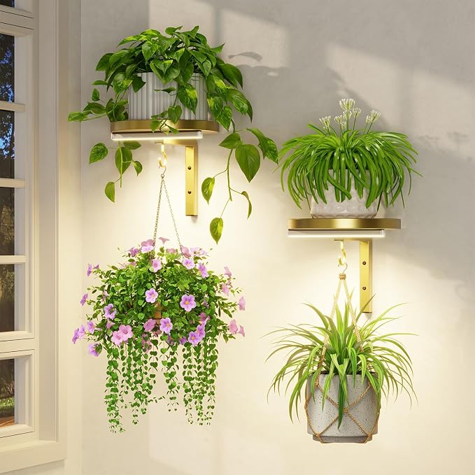 LASZOLA Plant Hangers Shelves Wall Mounted Indoor with Grow Lights, Metal Window Plant Holders, 2Pcs Modern Floating Flower Display Stand with 2 Hooks for Outdoor Kitchen Bathroom Decor, Gold