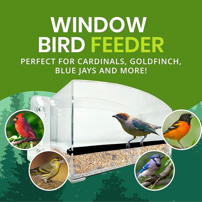 Nature Gear Acrylic Clear Window Bird Feeder with Strong Suction Cups, Removable Sliding Seed Tray, Weather-Resistant & Easy to Clean for Window Viewing, Dome