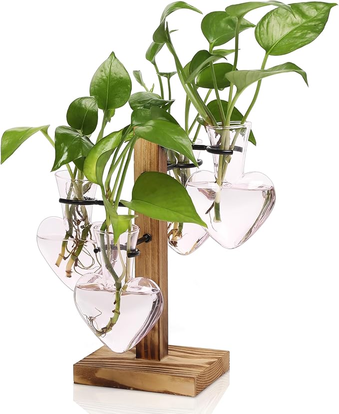 Plant Terrarium Propagation Stations with Wooden Stand | Glass Vase for Indoor Hydroponics Home Garden Office Decoration Gift for Women - 4 Love Bulb Vase