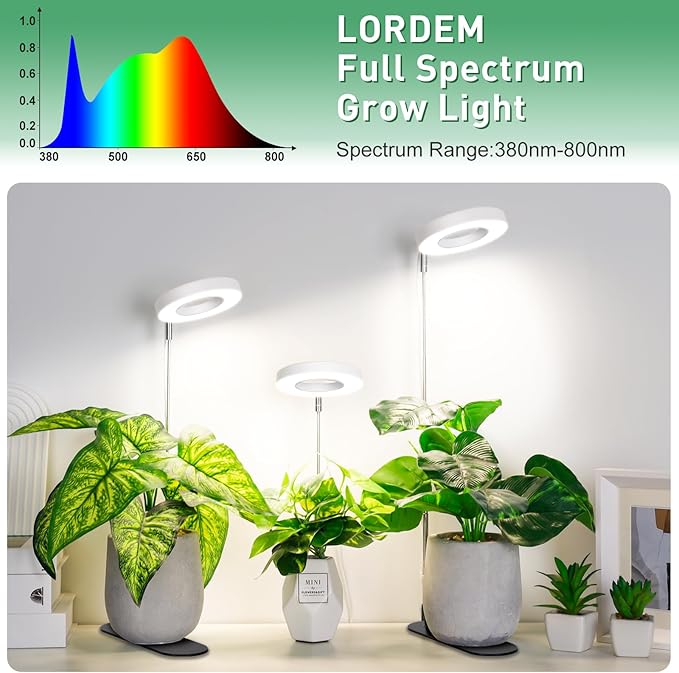 LORDEM Plant Grow Light, Full Spectrum Halo Desk Light, Height Adjustable 7.8"-26", LED Growing Lamp, Automatic Timer 4H/8H/12H, 4 Level Dimmable, Ideal for Indoor Plants, White, 1 Pack
