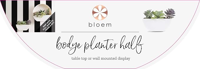 Bloem Bodye Half Moon Wall Mounted Hanging Planter 11" Charcoal Gray (BOD11908-HM)