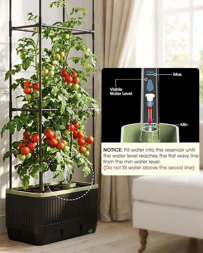 Self Watering Tomato Planter with Trellis, Rectangular Tomato Cages Trellis for Raised Garden Bed, Tomato Planters Box for Garden Pots Patio Indoor Outdoor (Rectangular, 1PC)