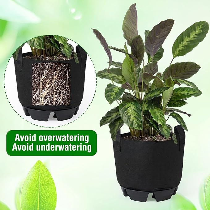 Jingmore 6 Set Self Watering Fabric Pot Base 5 Gallon Plant Nonwoven Grow Bags Automatic Watering System Plant Saucer Elevated Flower Trays with Handles for Fruits Vegetables Flowers Grow(Black)