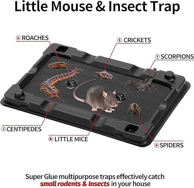 LULUCATCH Mouse & Insect Traps 24 Pack, Heavier Sticky Traps with Non-Toxic Glue for Small Mice & Insects. Sticky Mouse Traps Indoor, Easy to Set, Pet Safe Pest Control