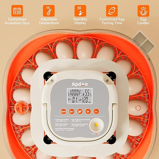 APDOE Egg Incubators for Hatching Eggs, Temperature and Humidity Control, Automatic Egg Turning, Egg Candler, External Water Bottle, Air Vent, for Chicken, Duck & Quail Eggs, 25 Eggs