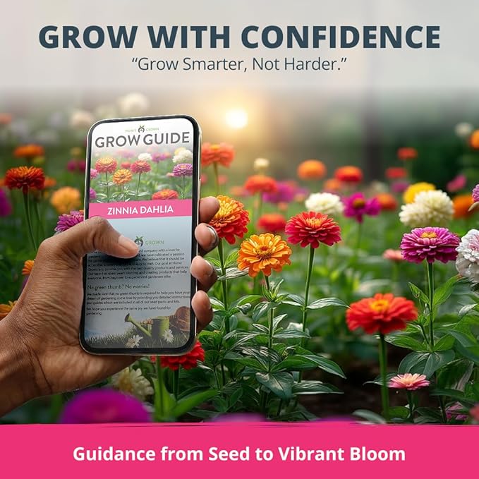 HOME GROWN Zinnia Dahlia Seeds Pack for 2026 Non GMO 524 Flower Seeds | Vibrant Zinnia Elegans for Pollinator Gardens, Borders & Containers | Easy-to-Grow Outdoor Blooms