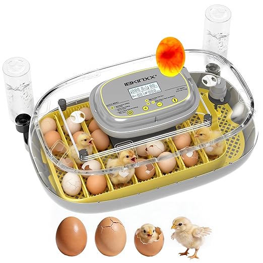 IBKINXX Incubator for Hatching Eggs-24 Egg Capacity, Automatic Egg Turner, Temperature & Humidity Control, 360° Viewing for Chicken, Duck and Quail Eggs