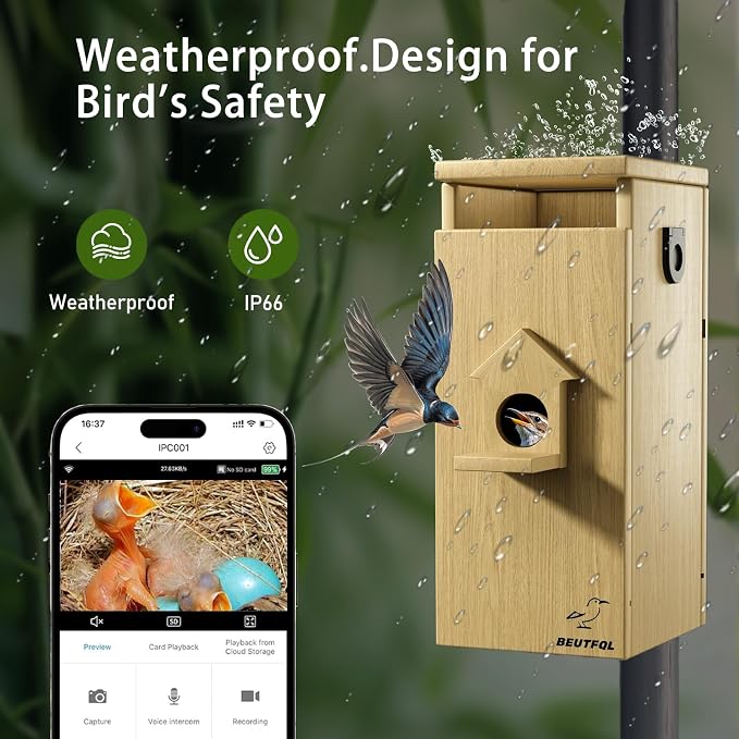 Bird House with Camera Solar Powered, 1080HD Live Video & Night Vision for 24/7 Nesting Recording, Auto Detect & Notify, Waterproof Bamboo,smart Bird House Camera for Backyard Birdwatching