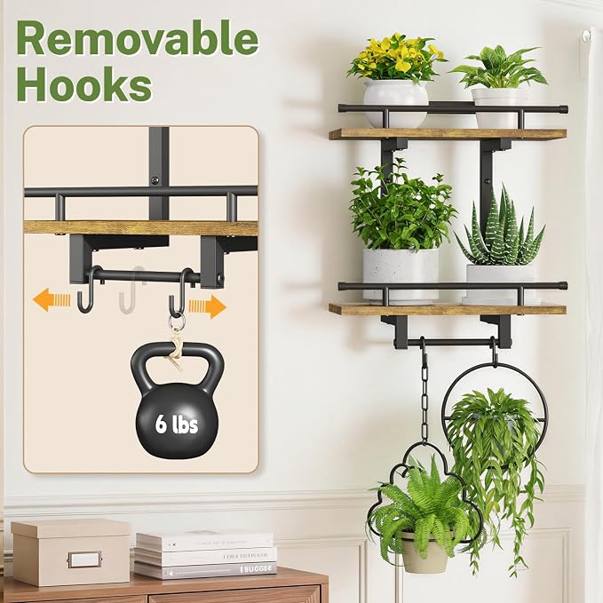 iDavosic.ly Wall Plant Holder with Grow Lights Set of 2, 2 Tier Indoor Floating Shelves with 4 Hooks for Hanging Plants, Wall Mounted Space Saving Display Stand (Pots/Chains Not Included)