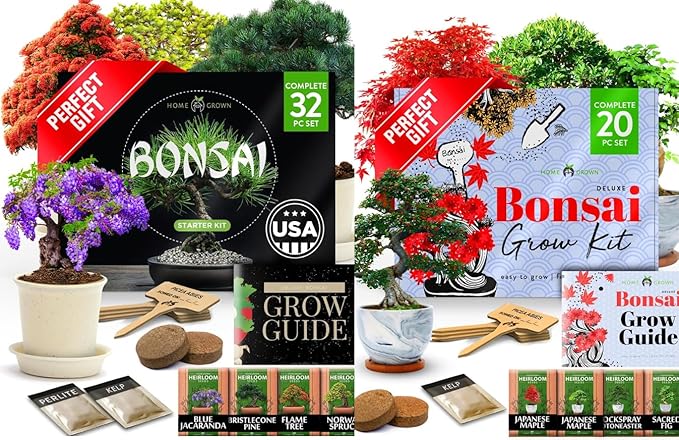 Bonsai Tree Growing Kit 2-Pack – Premium Ceramic Starter Set + 4 Bonsai Trees Variety Kit – Unique DIY Gardening Gift for Men, Women, Beginners & Nature Lovers – Indoor Plant Hobby & Gift Idea